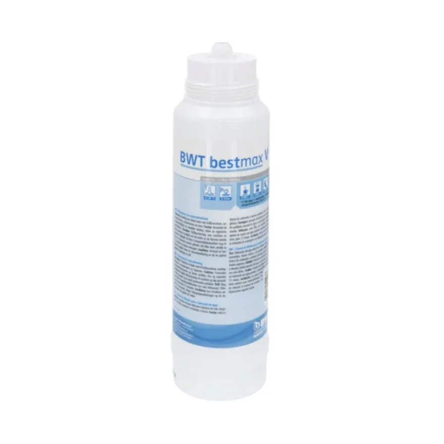 BWT Bestmax vedensuodatin