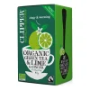 Clipper Organic Green Tea & Lime & Ginger 20 teepussia