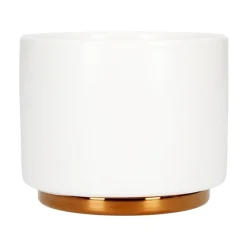 Fellow Monty Milk Art Cup 192 ml