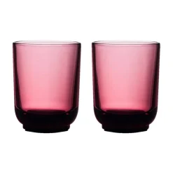 Fellow Pirch lattelasit 2 x 325 ml