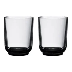 Fellow Pirch lattelasit 2 x 325 ml