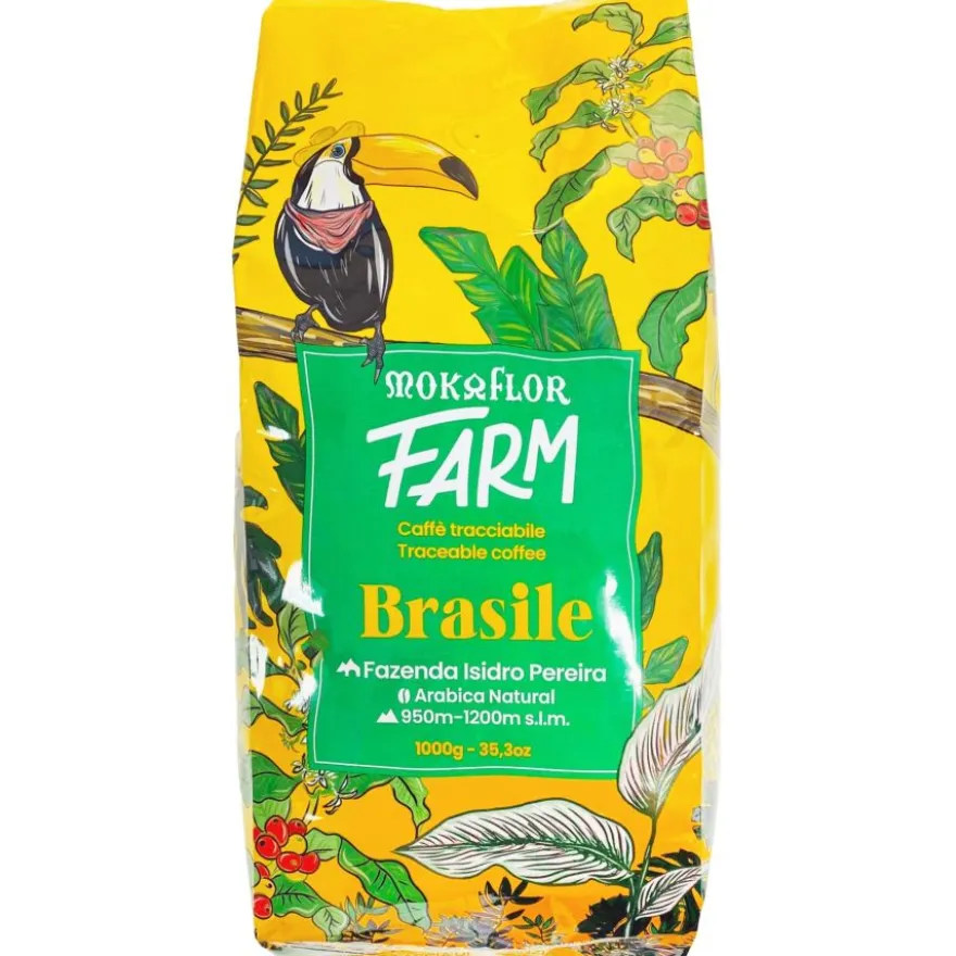 Mokaflor FARM Brasile Fazenda Isidro Pereira