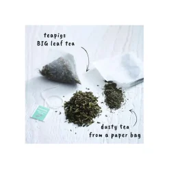 Teapigs Peppermint Tea teepussit