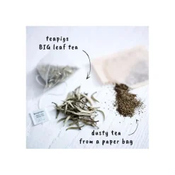 Teapigs Silver Tips White Tea 15 teepussia