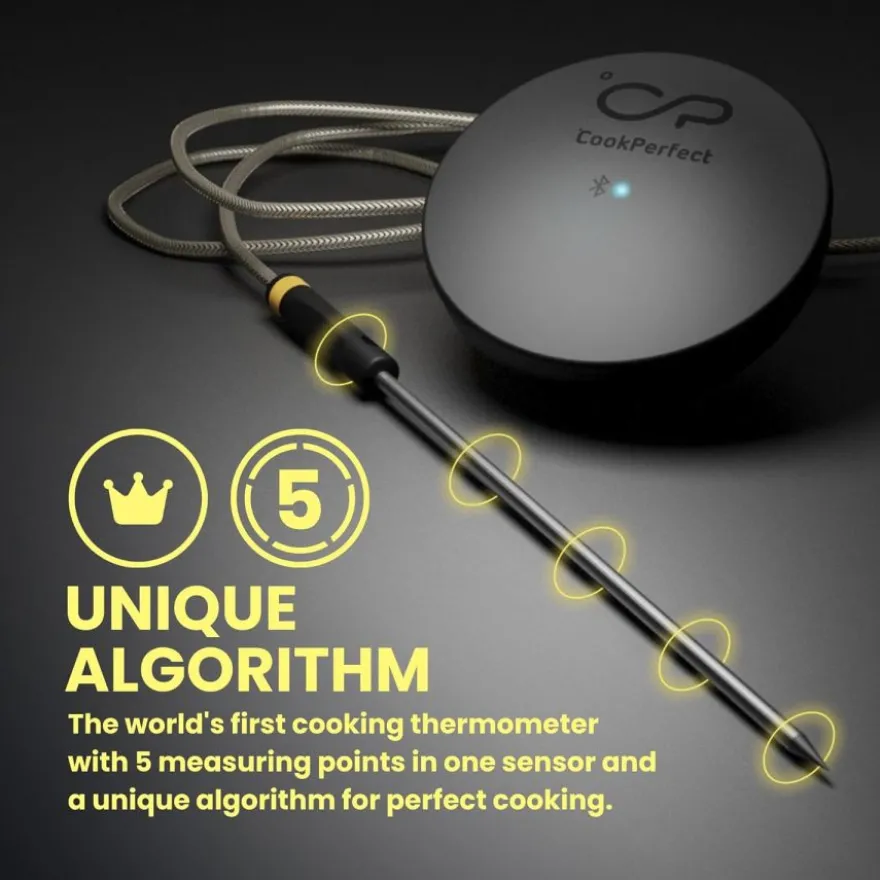 Witt CookPerfect Comfort Single 2.0 paistolämpömittari