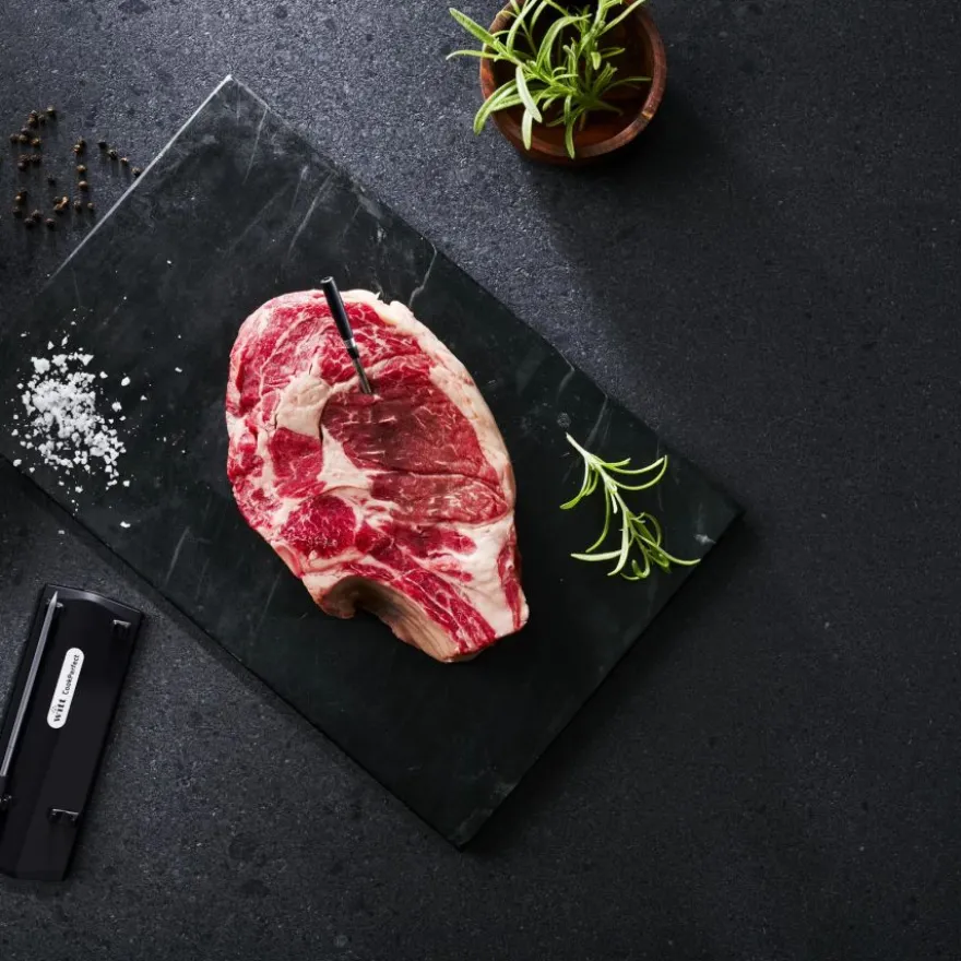 Witt CookPerfect Wireless Dual paistolämpömittari